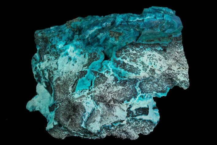 Turquoise Blue, Botryoidal Chrysocolla - Congo #69792